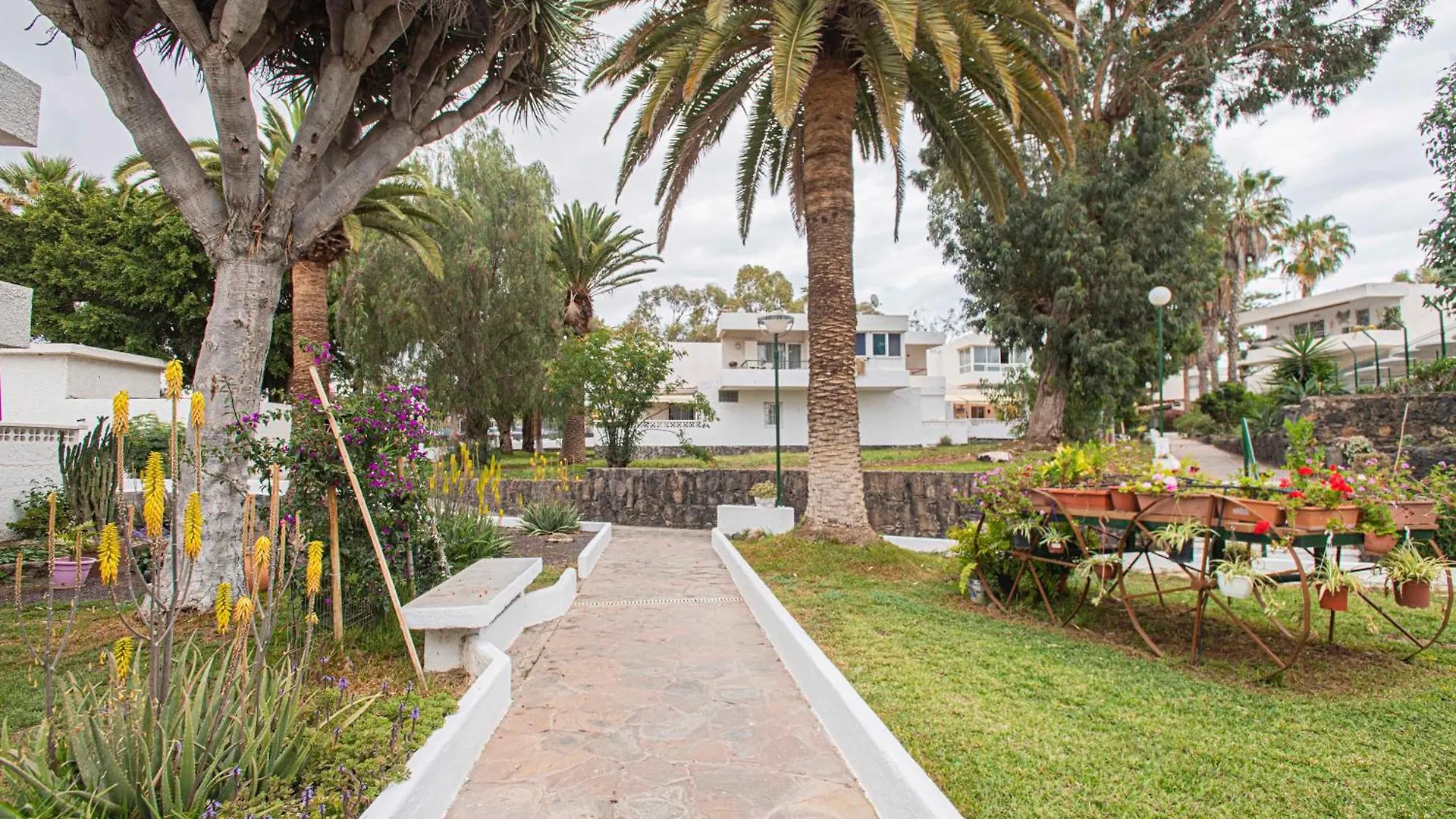 Apartment Eureka Tenerife Arona